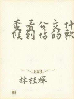 查看公交什么时候到站的软件