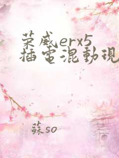 荣威erx5 插电混动现在价格