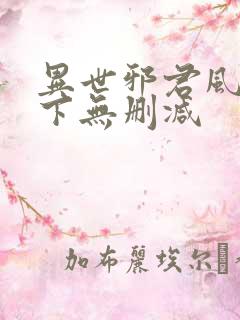 异世邪君风凌天下无删减