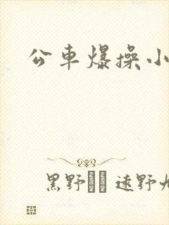 公车爆操小说