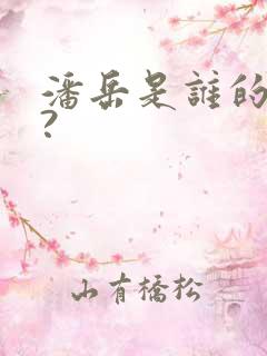 潘岳是谁的女婿?