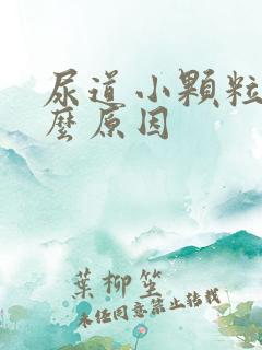 尿道小颗粒是什么原因