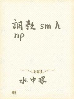 调教 sm h np