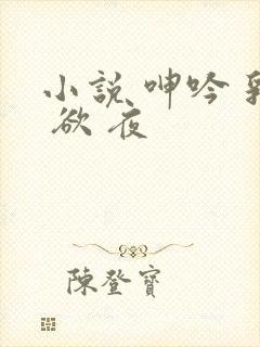 小说 呻吟 乳 欲 夜