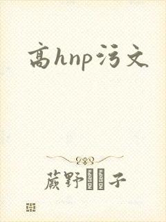 高hnp污文