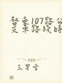启东107路公交车路线时间表