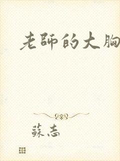 老师的大胸小说
