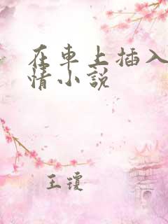 在车上插入的激情小说