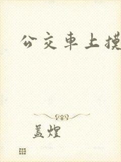 公交车上摸逼
