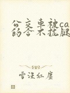 公交车被cao的合不拢腿