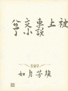 公交车上被乱操了小说