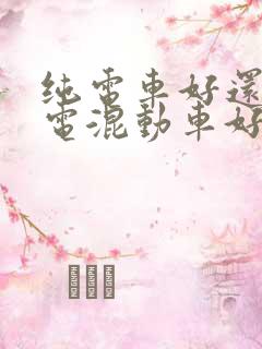 纯电车好还是插电混动车好