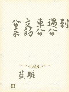 公交车遇到农村来的公公