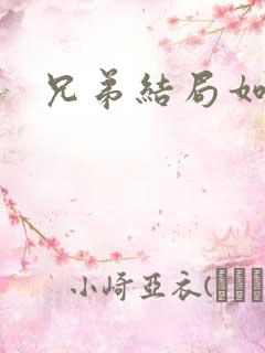 兄弟结局如何