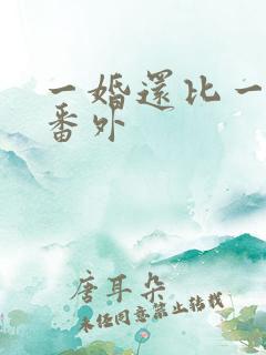 一婚还比一婚高番外