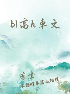 bl高h车文