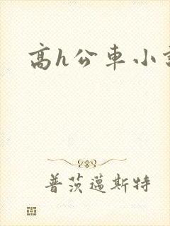 高h公车小说