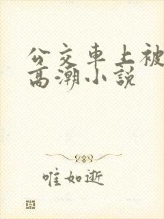 公交车上被摸到高潮小说