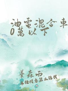油电混合车型10万以下