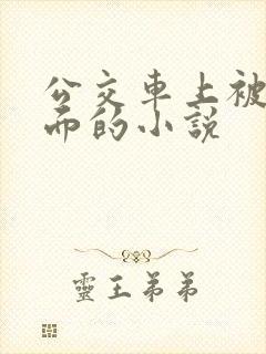 公交车上被摸下面的小说