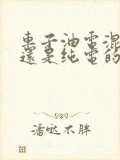 车子油电混合好还是纯电的好