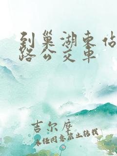 到巢湖东站坐几路公交车