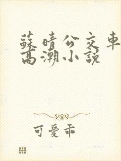 苏晴公交车被弄高潮小说