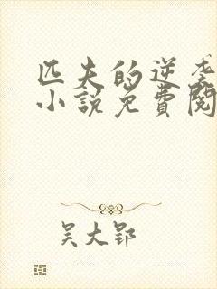 匹夫的逆袭全本小说免费阅读