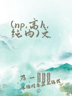 (np,高h,纯肉)文