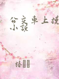 公交车上摸出水小说
