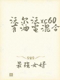 沃尔沃xc60有油电混合的吗