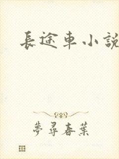 长途车小说