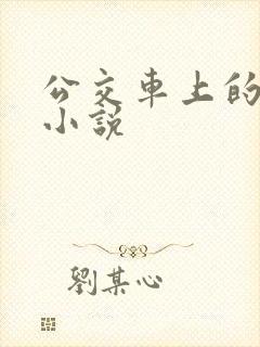 公交车上的乱欲小说