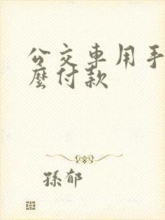 公交车用手机怎么付款