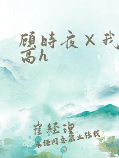 顾时夜×我车肉高h