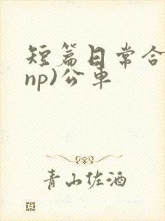 短篇日常合集(np)公车
