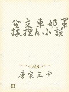公交车奶罩伸进揉捏h小说