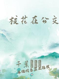 校花在公交车
