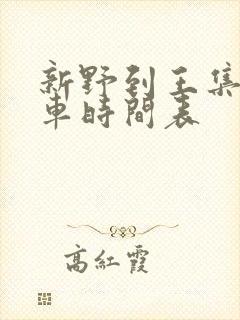 新野到王集公交车时间表