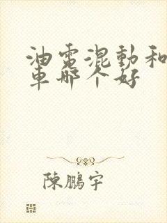 油电混动和纯油车哪个好