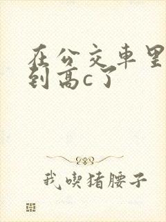 在公交车里c弄到高c了