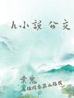 h小说 公交