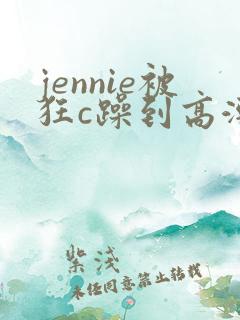jennie被狂c躁到高潮小说