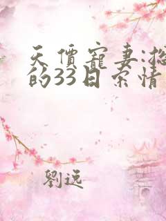 天价宠妻:总裁的33日索情小说免费阅读