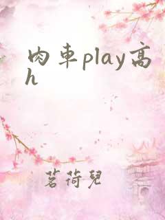 肉车play高h