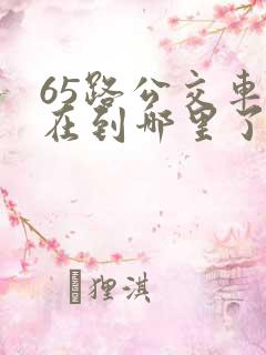 65路公交车现在到哪里了
