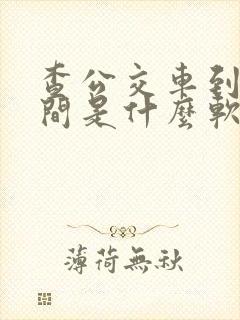 查公交车到站时间是什么软件