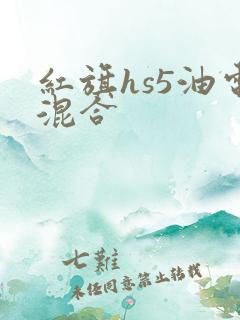 红旗hs5油电混合