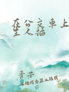 在公交车上被陌生人插