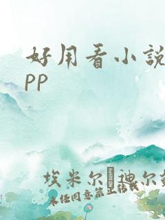 好用看小说的app
